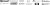 small_footer_logo_black